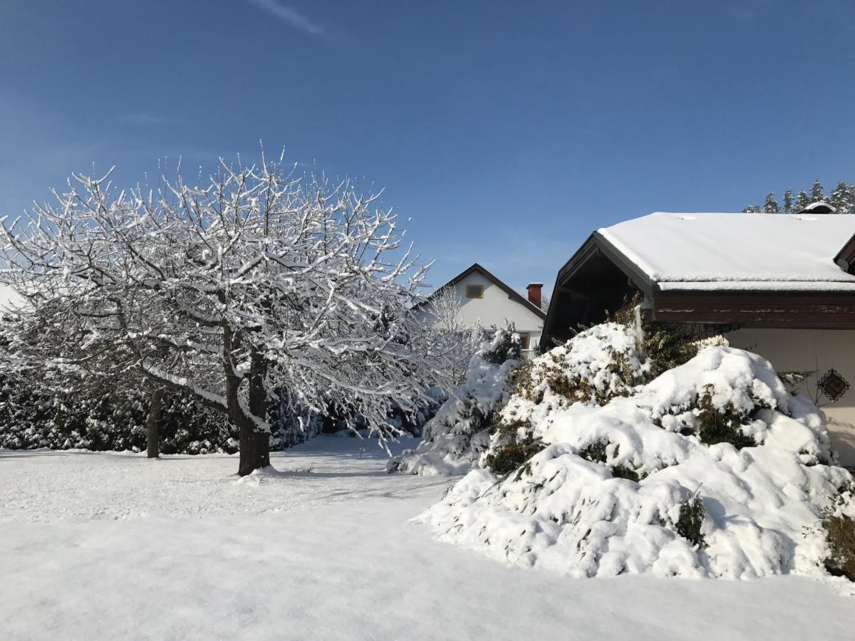 V Gemuetliches Gartenhaus Villa Smihel nad Pliberkom Kültér fotó